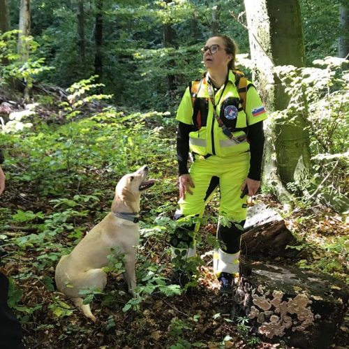 71898236_1177848952411168_4864167985910120448_o